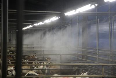 规模养殖场如何做好消毒防疫工作？