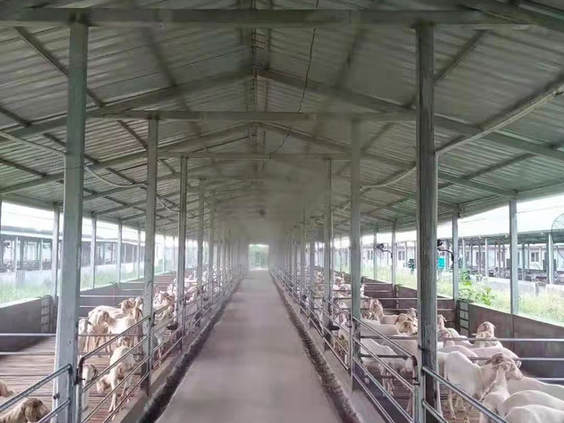 规模养殖场如何做好消毒防疫工作？(图1)