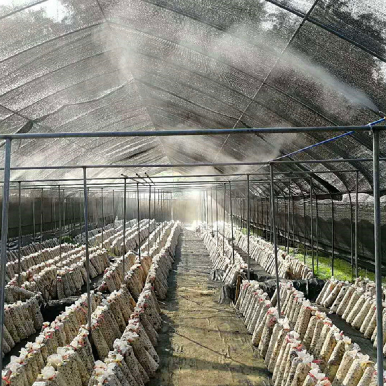 食用菌湿度环境解决方案